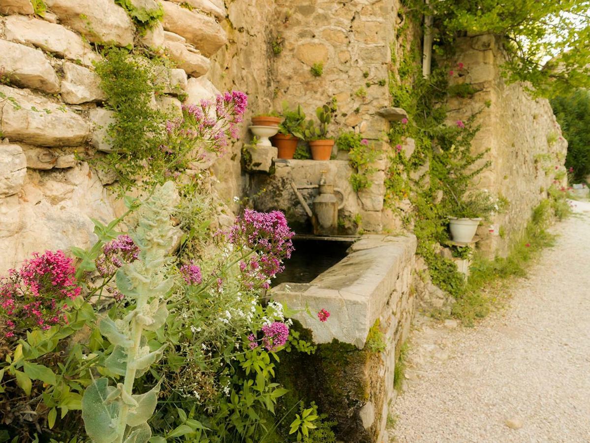 Chateau Des Gipieres Bij De Mont Ventoux Montbrun-les-Bains Dış mekan fotoğraf